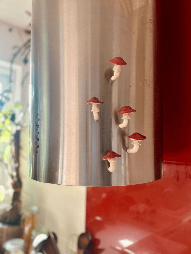 Magnet Champignon